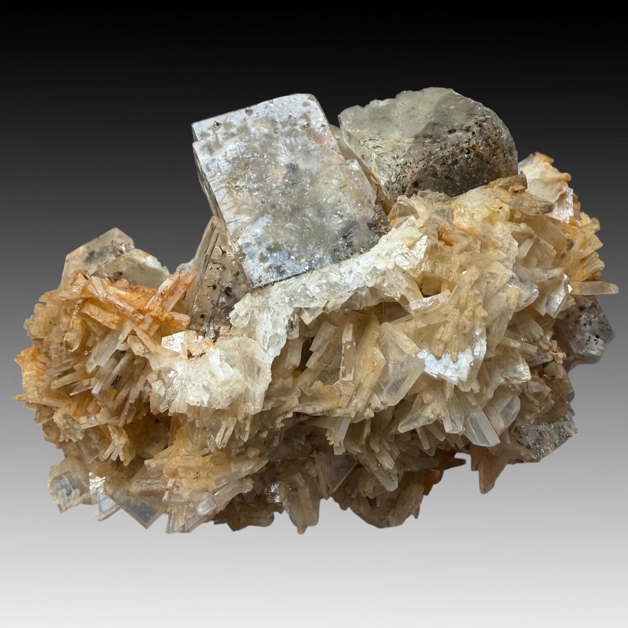 Baryte & Fluorite