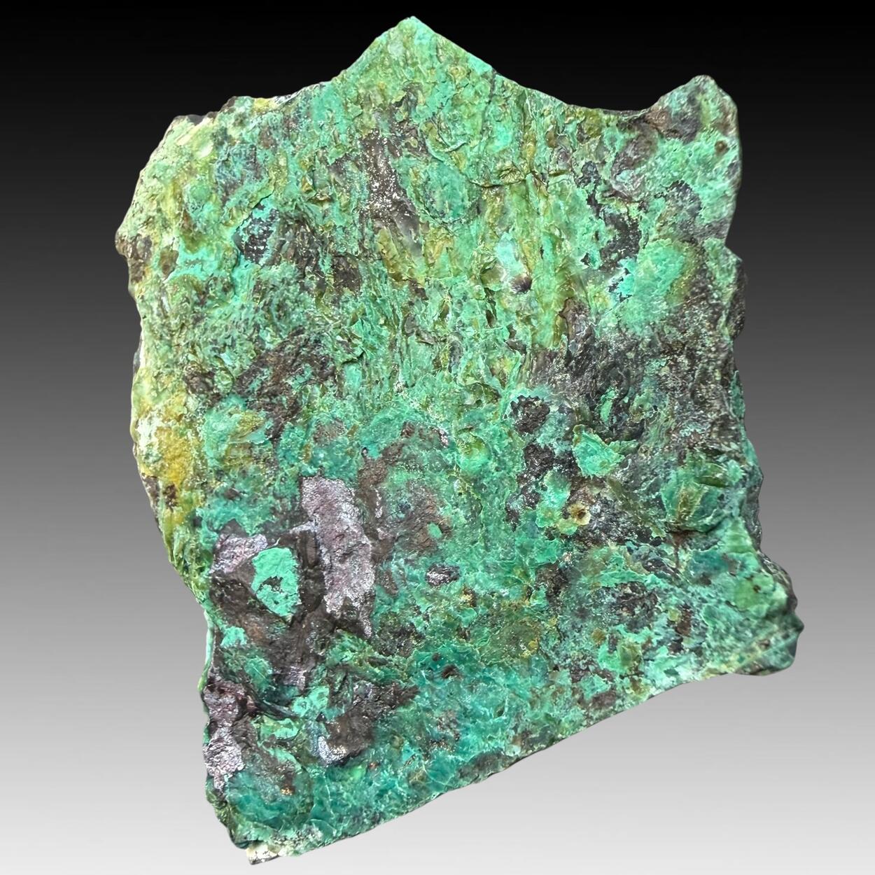 Chrysocolla Cuprite & Malachite