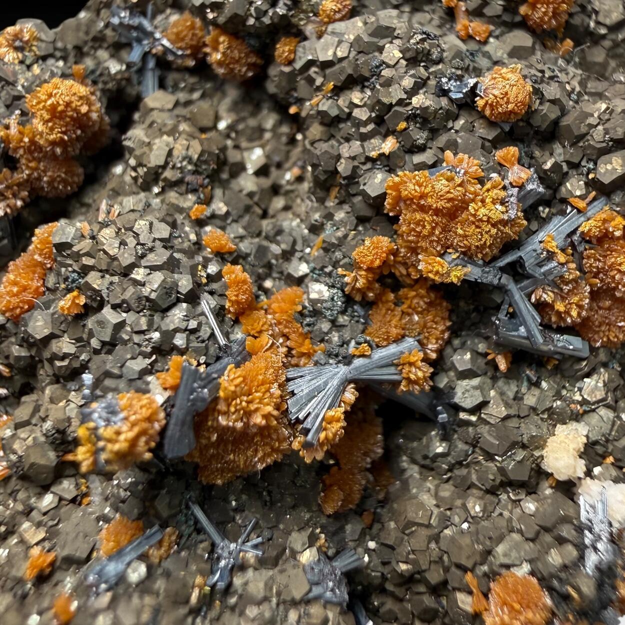 Hutchinsonite Pyrite & Orpiment