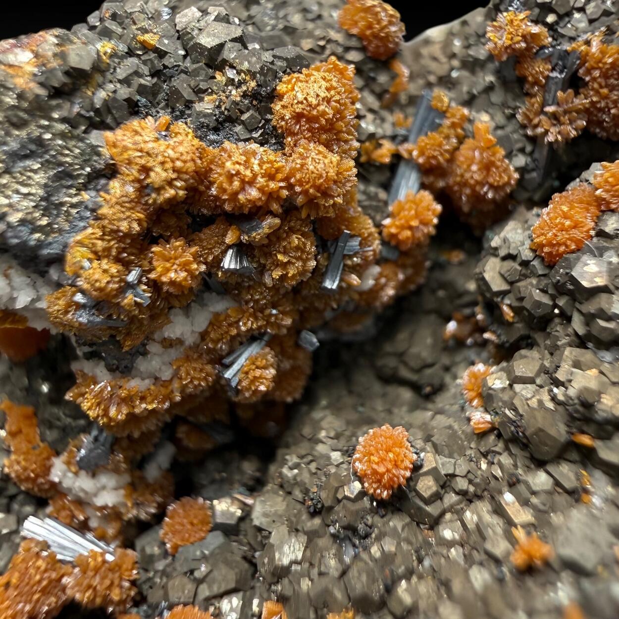 Hutchinsonite Pyrite & Orpiment