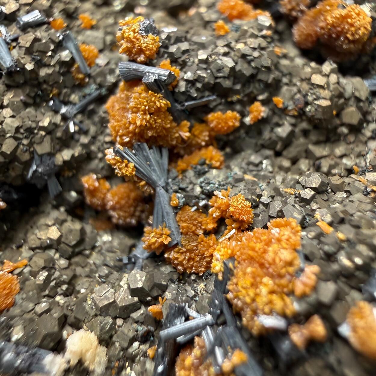 Hutchinsonite Pyrite & Orpiment