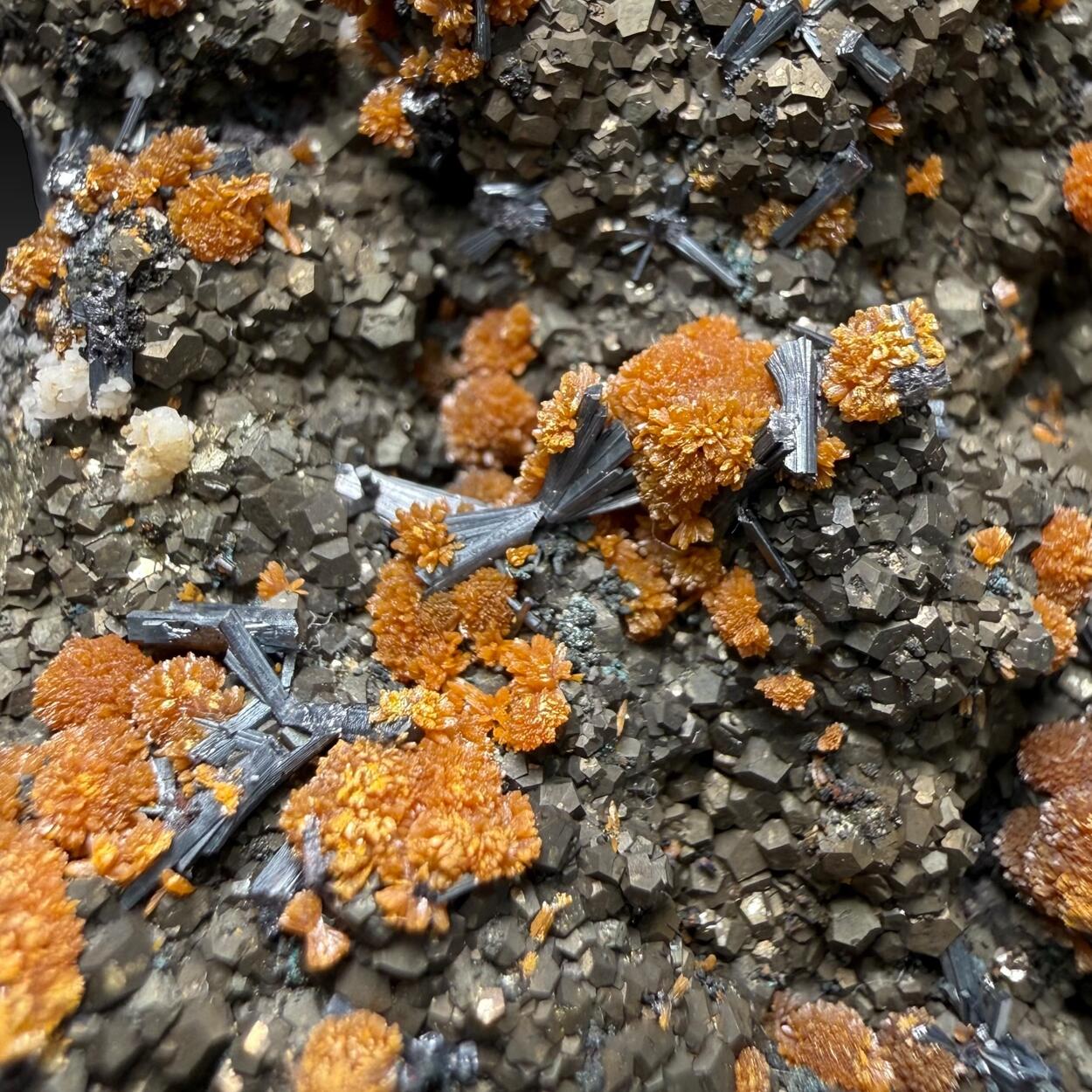 Hutchinsonite Pyrite & Orpiment