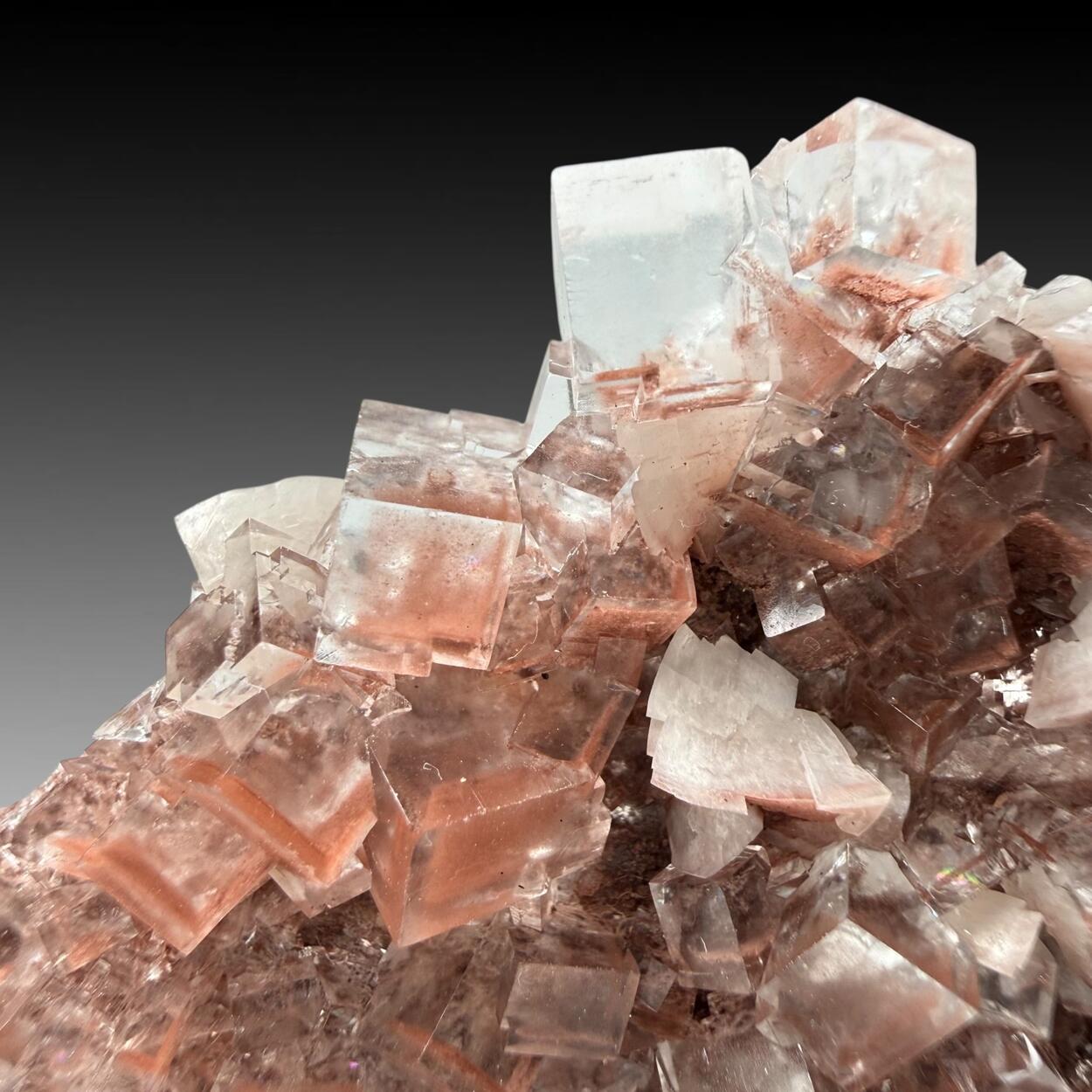 Fluorite With Hematite Inclusions