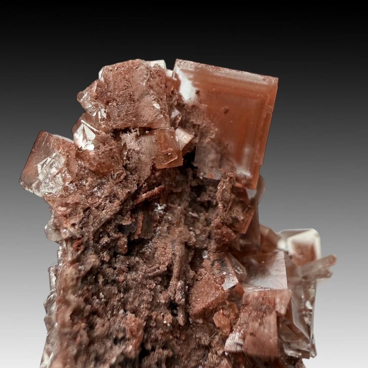 Fluorite With Hematite Inclusions