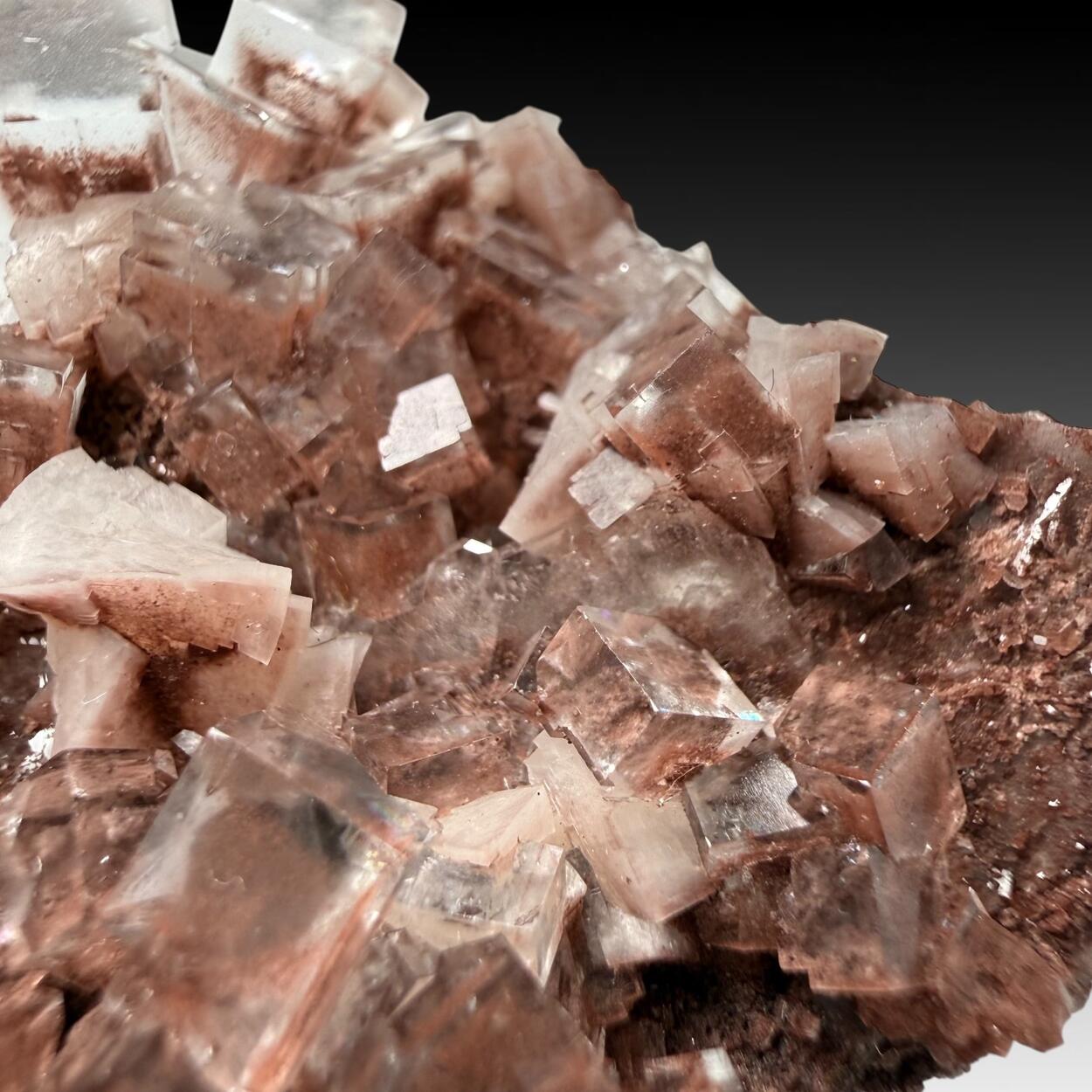 Fluorite With Hematite Inclusions