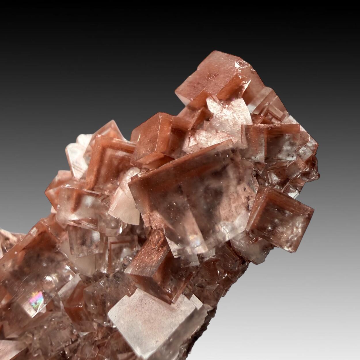 Fluorite With Hematite Inclusions