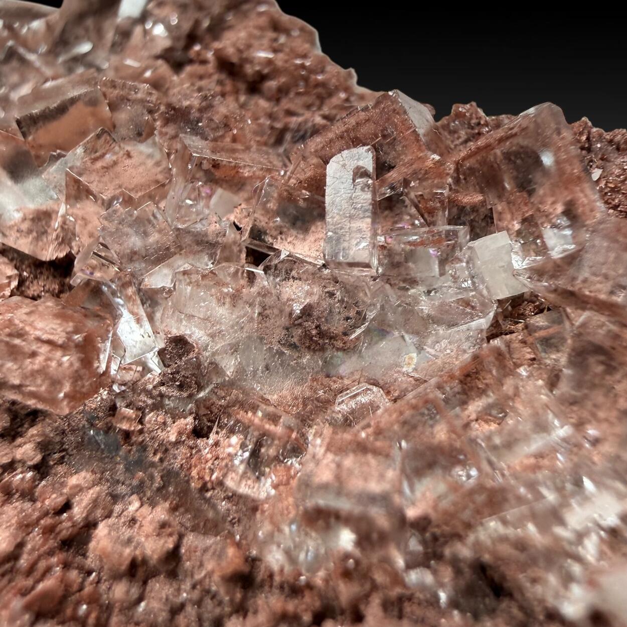 Fluorite With Hematite Inclusions