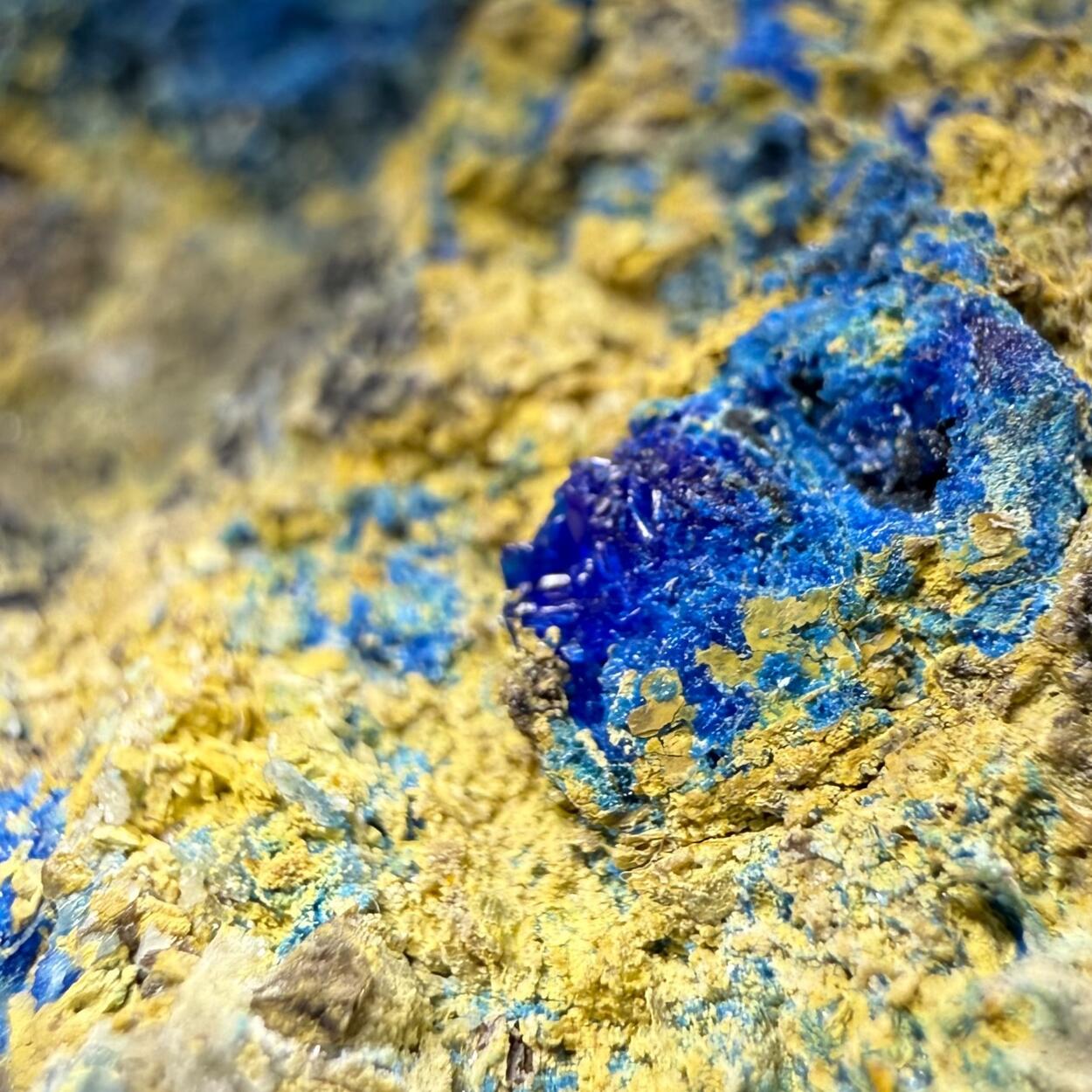 Linarite On Beaverite-(Cu)