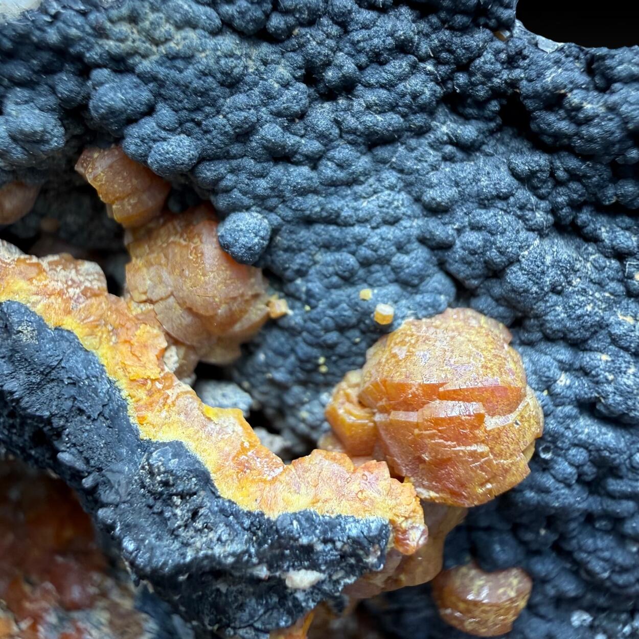 Campylite