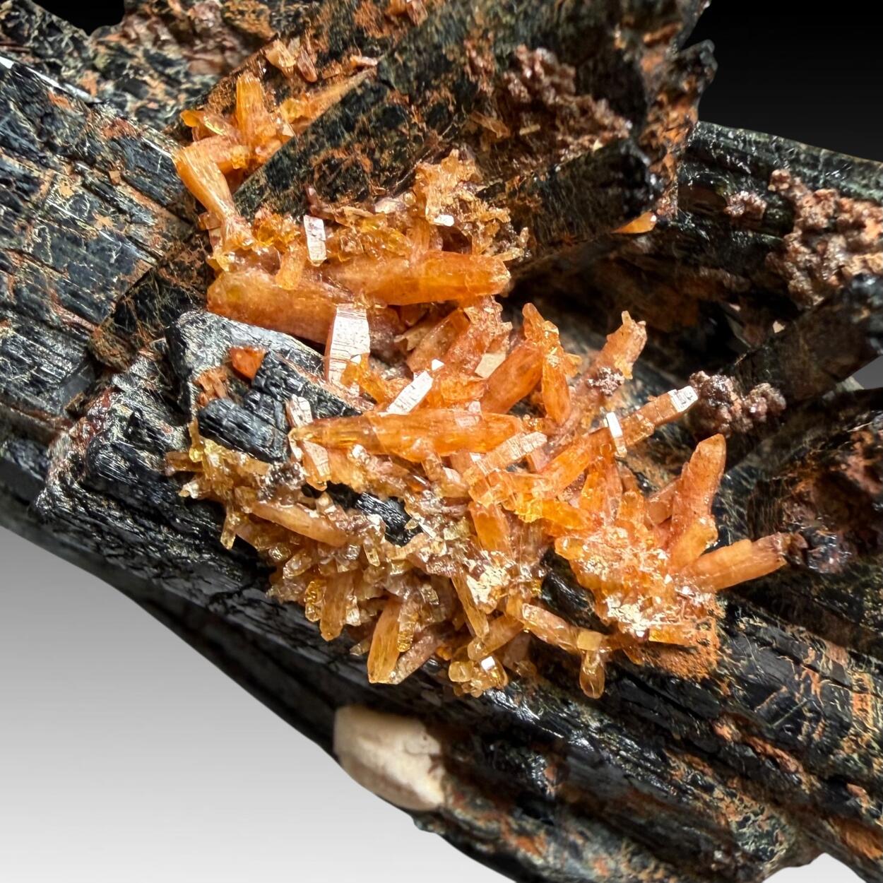 Aegirine & Xenotime-(Y)