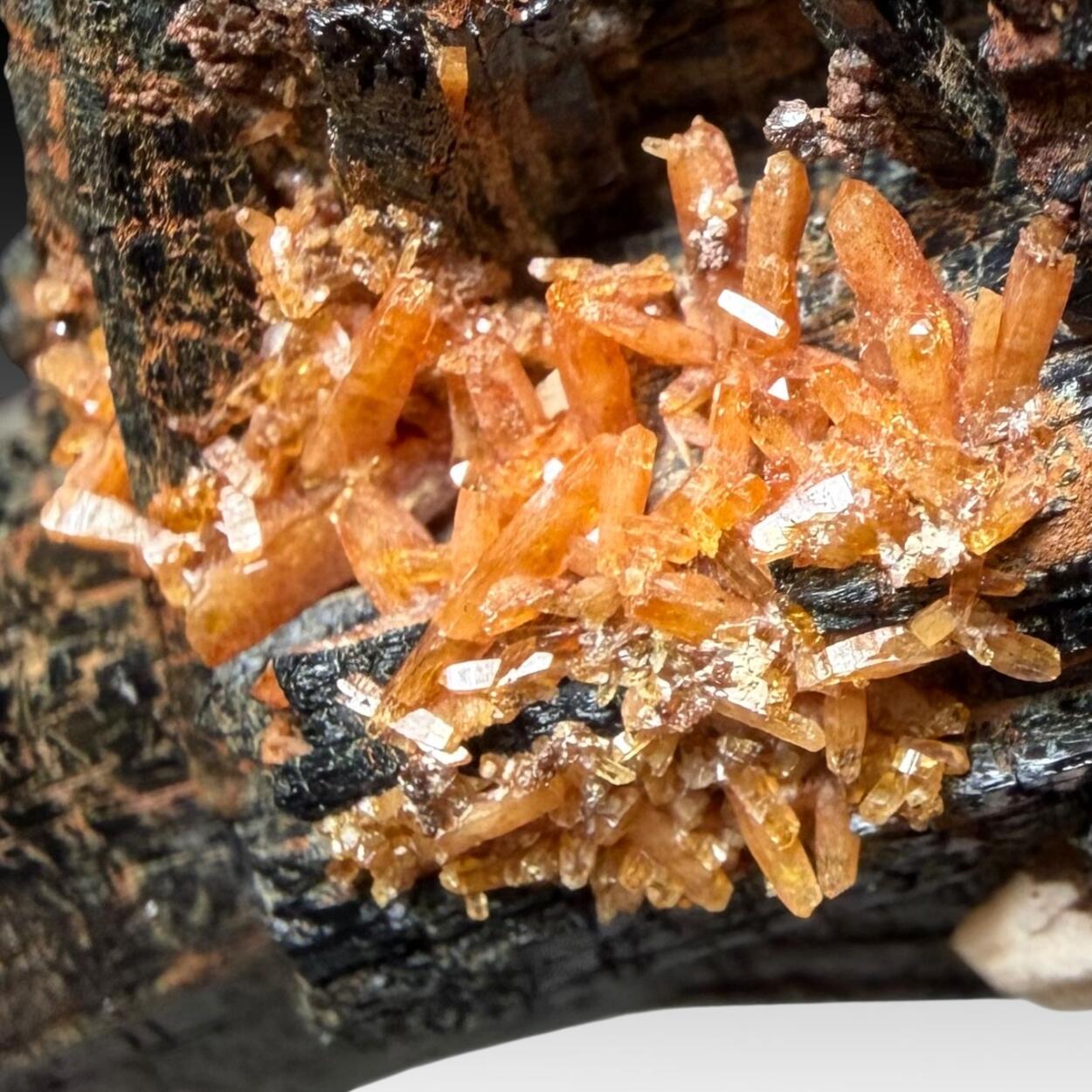 Aegirine & Xenotime-(Y)