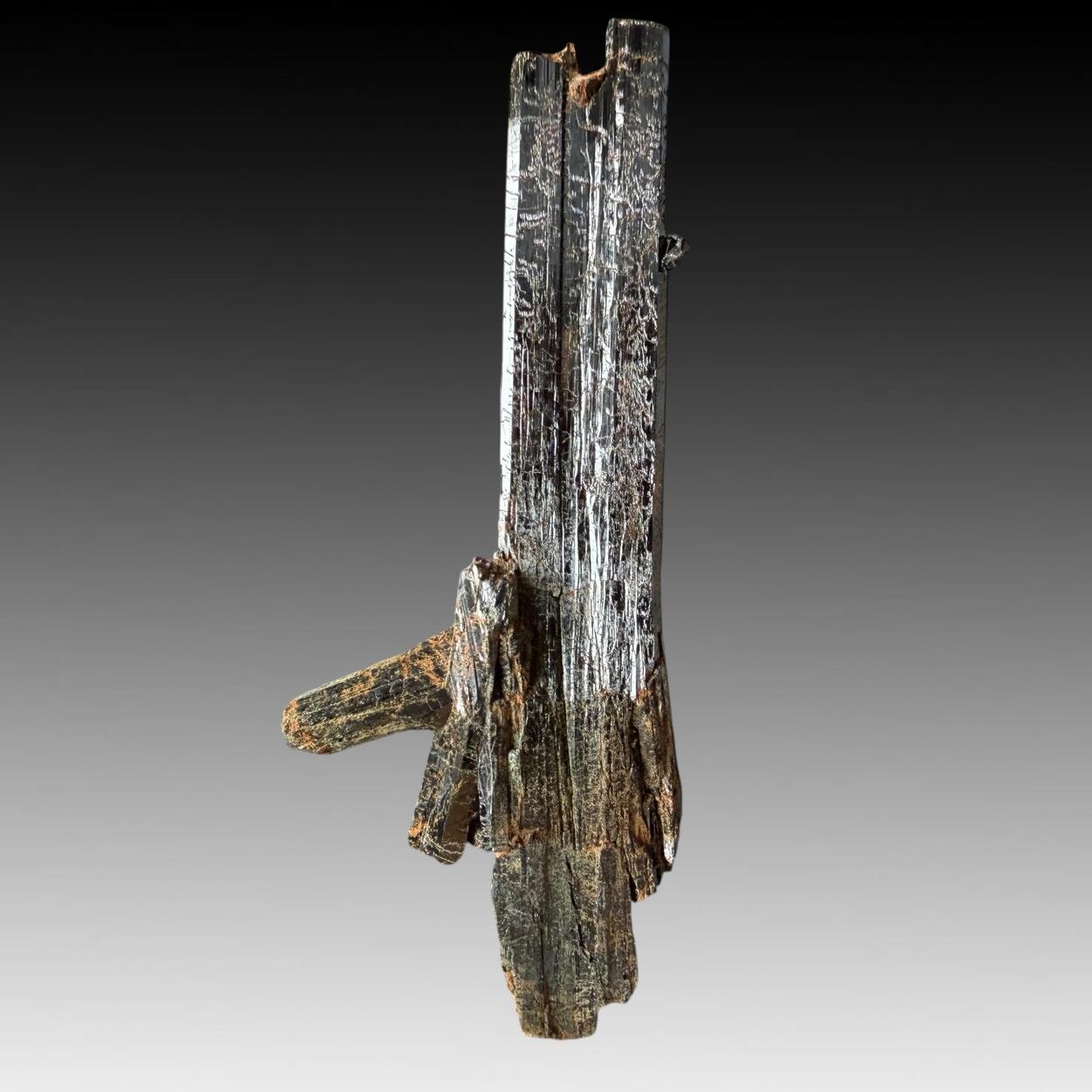 Aegirine & Xenotime-(Y)