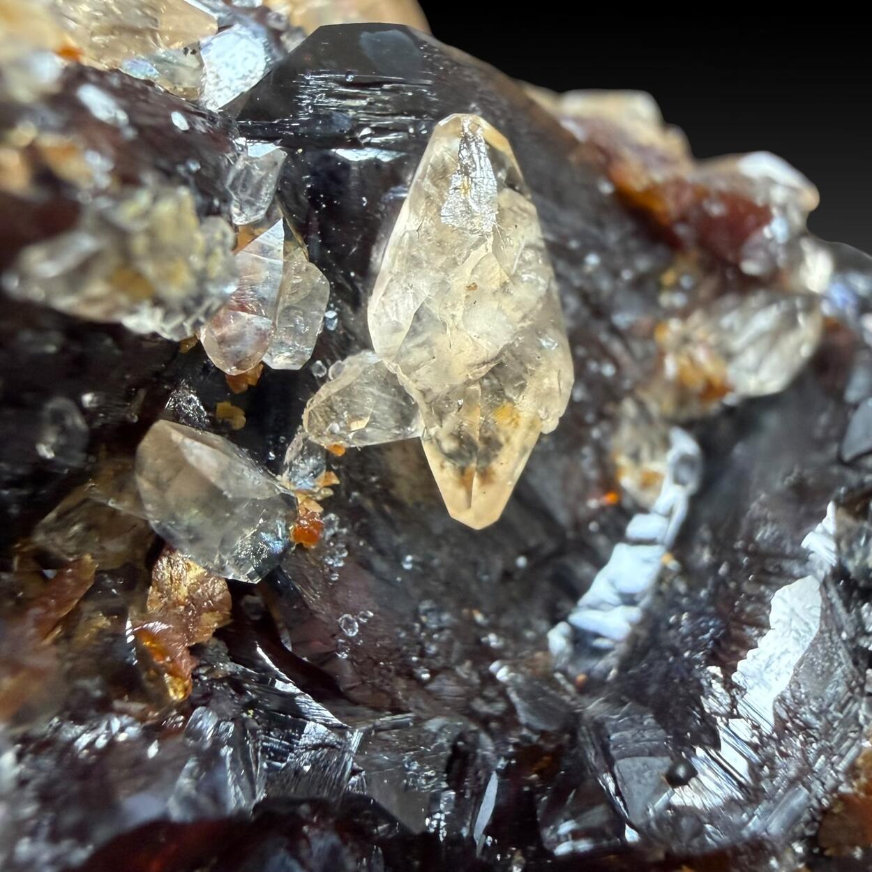 Calcite & Sphalerite
