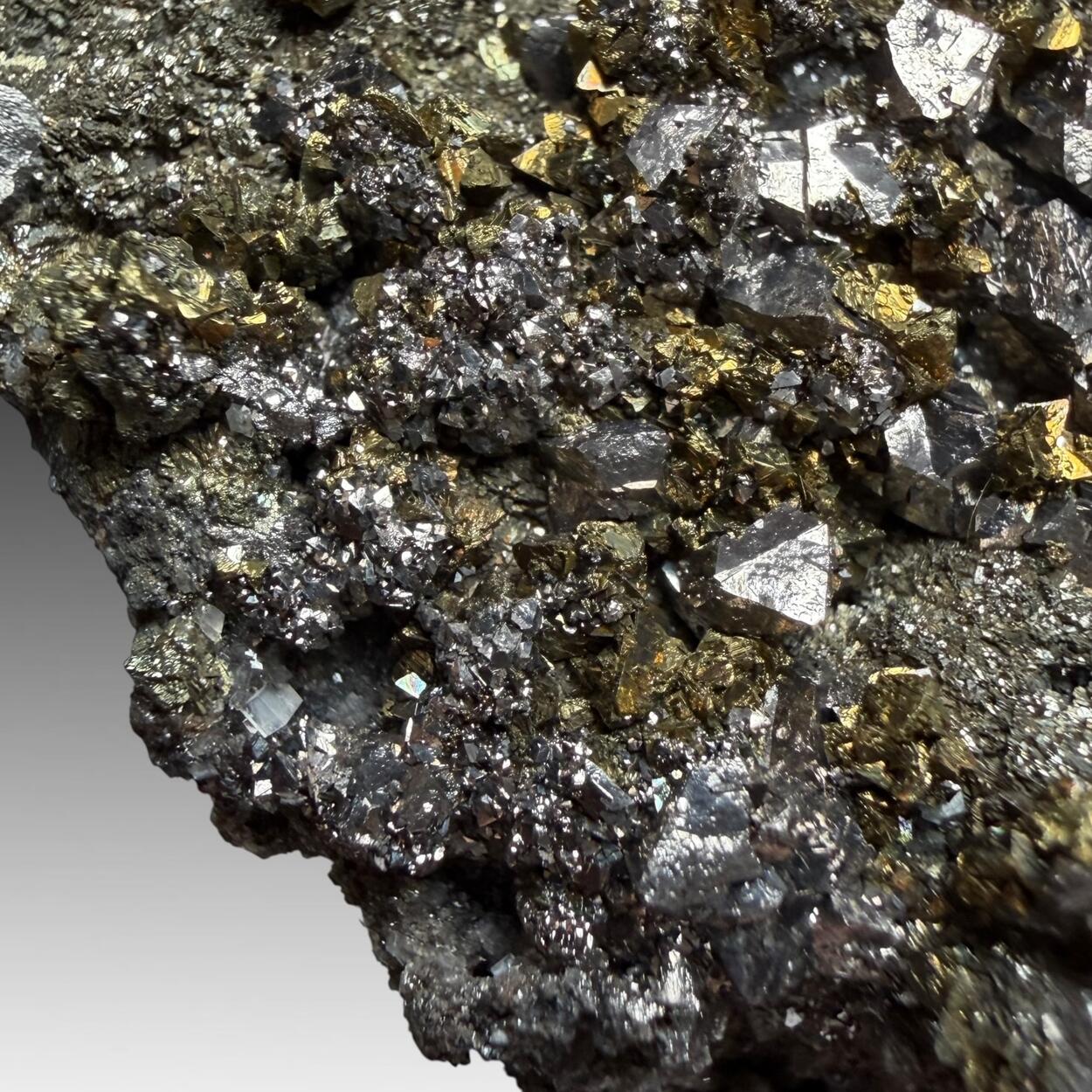 Siegenite & Chalcopyrite