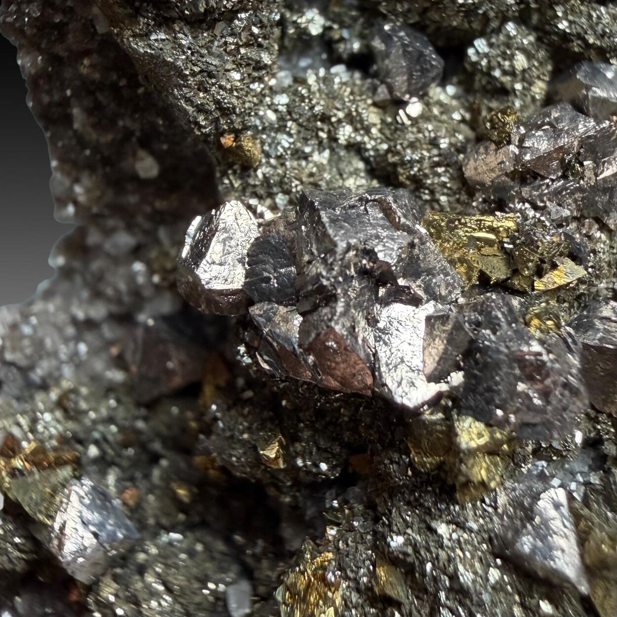 Siegenite & Chalcopyrite