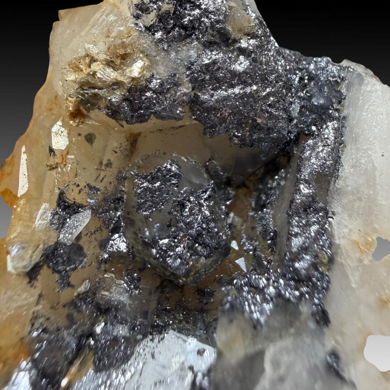 Molybdenite & Quartz