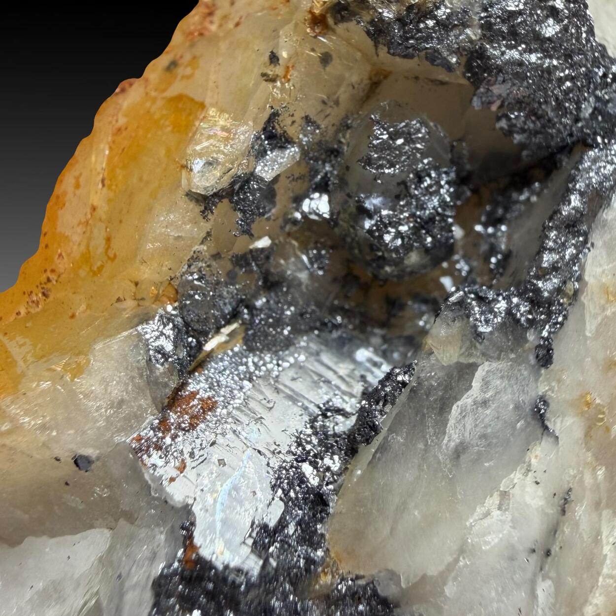 Molybdenite & Quartz