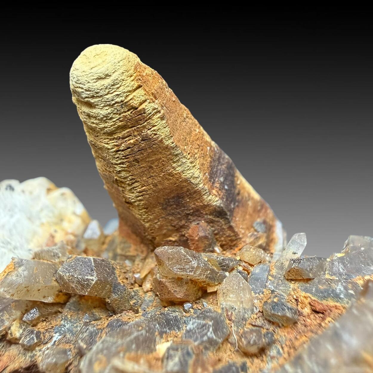 Muscovite & Quartz