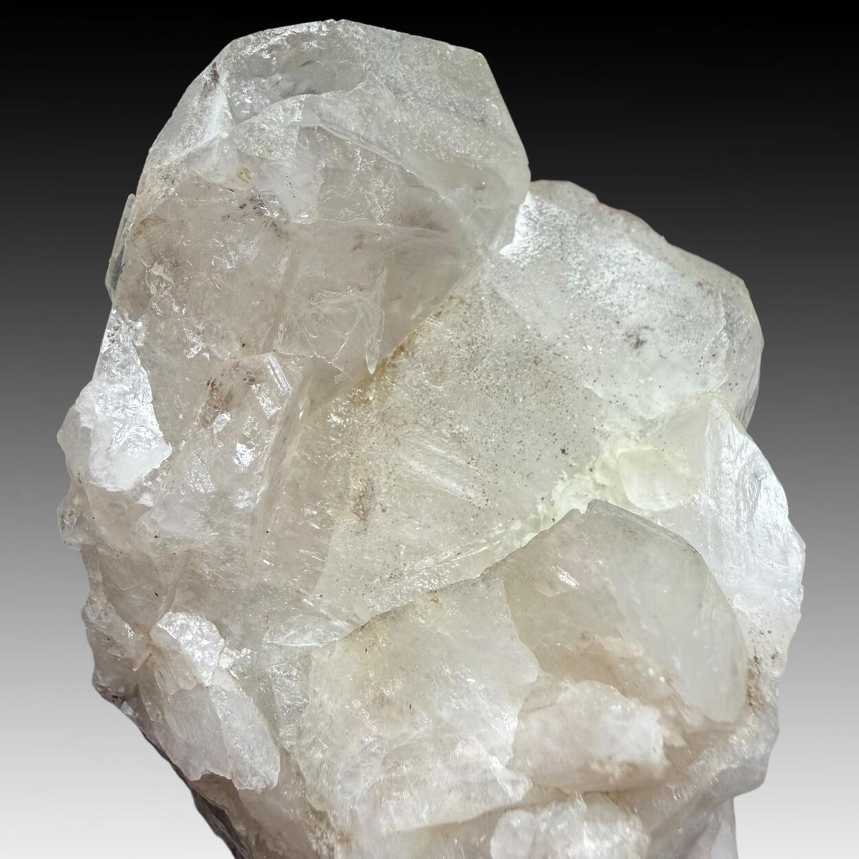 Quartz Var Japan Law