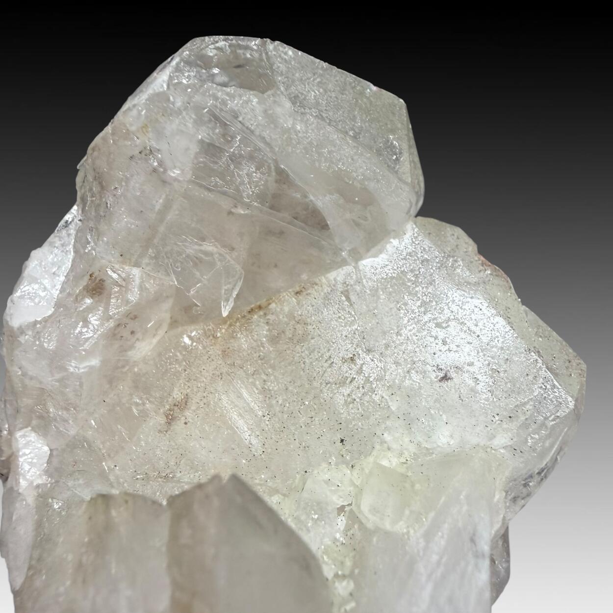 Quartz Var Japan Law