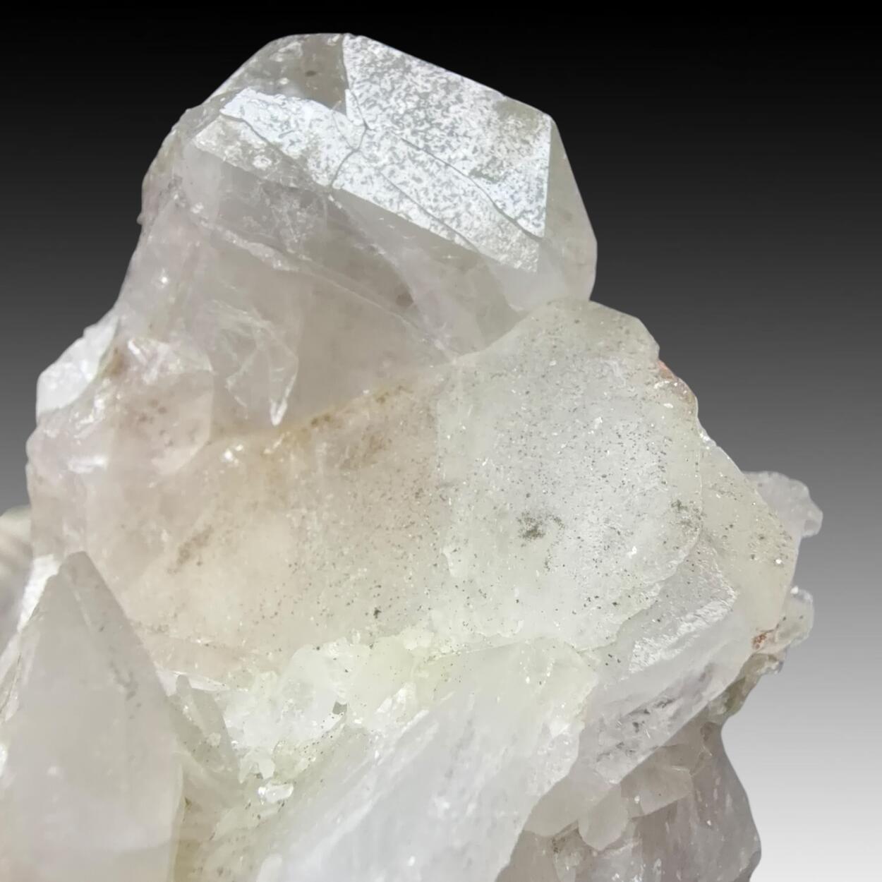 Quartz Var Japan Law