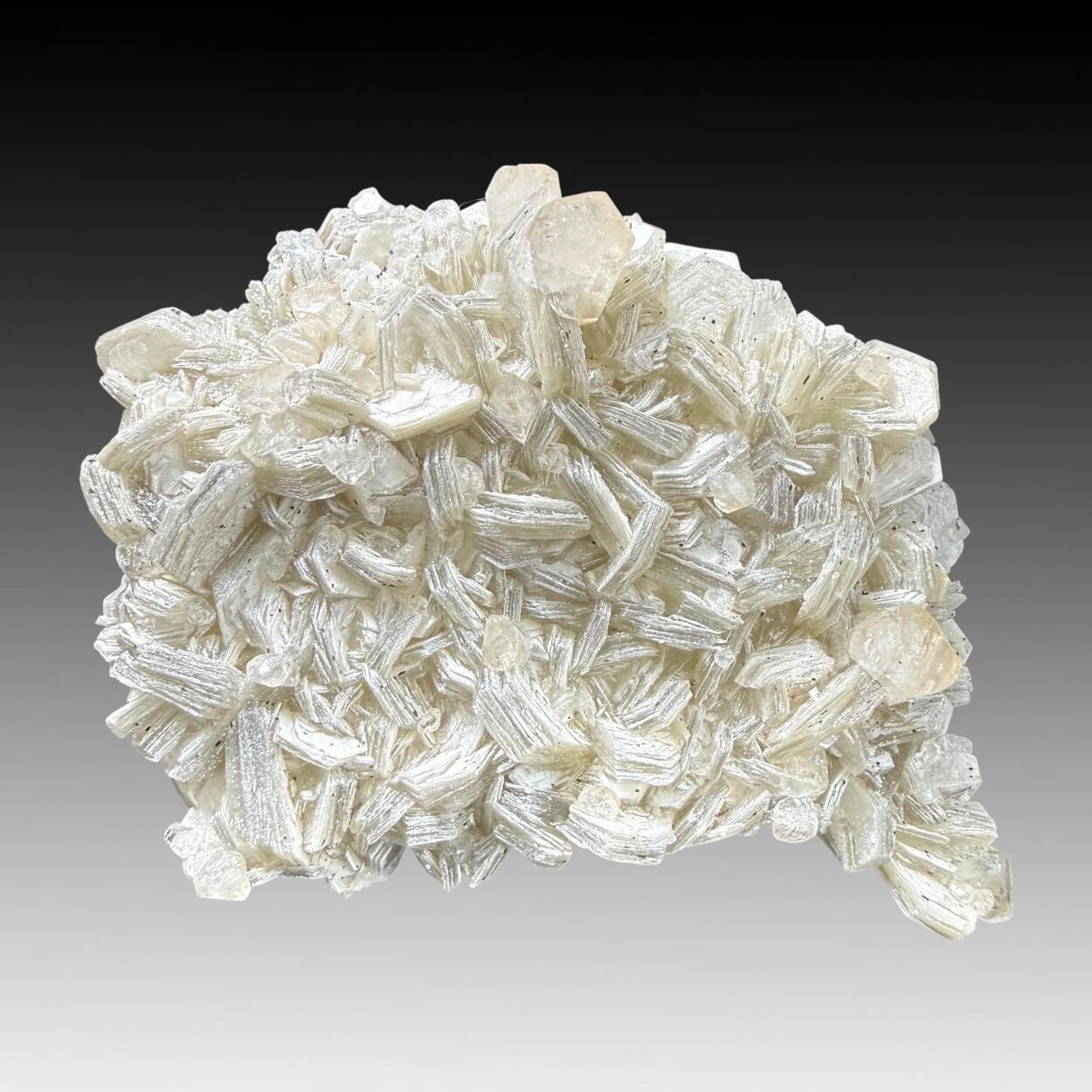 Apatite On Muscovite