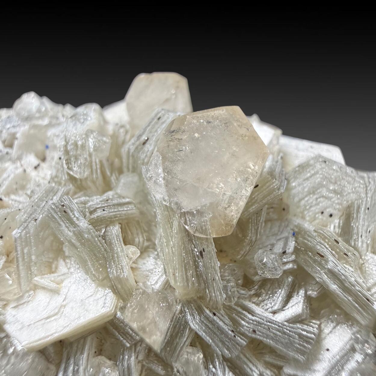 Apatite On Muscovite