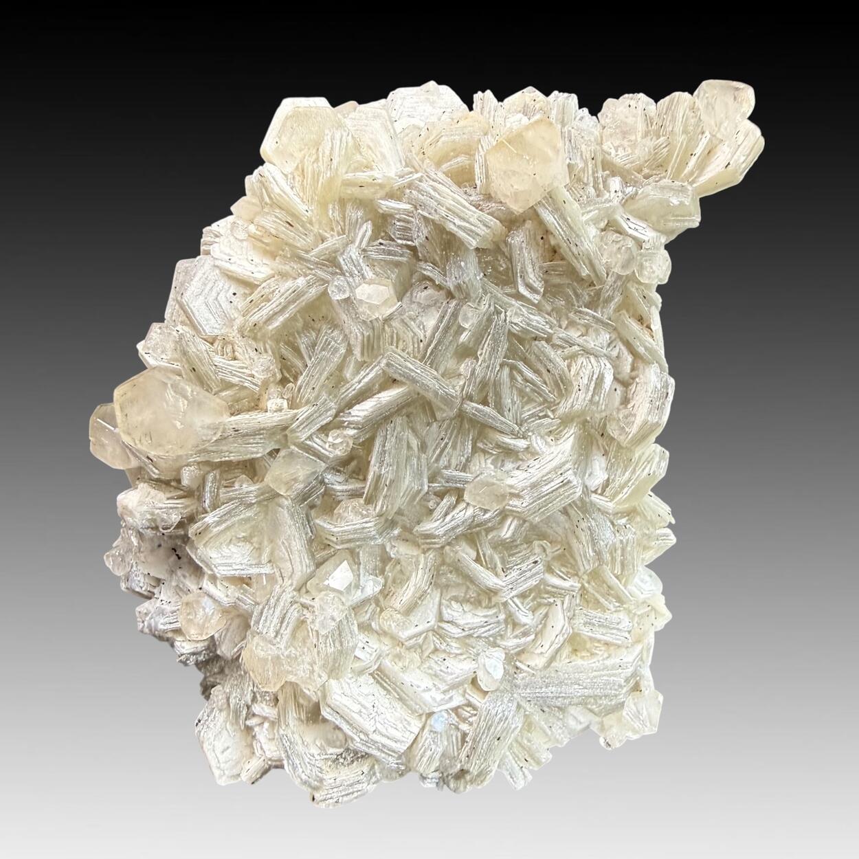 Apatite On Muscovite