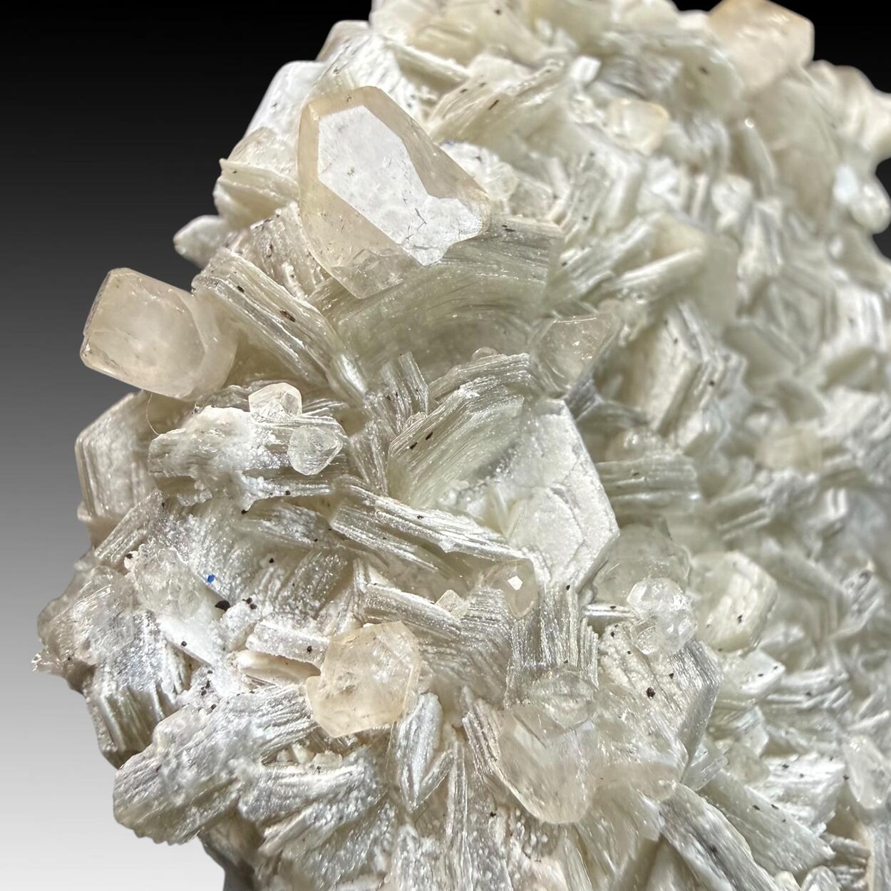 Apatite On Muscovite