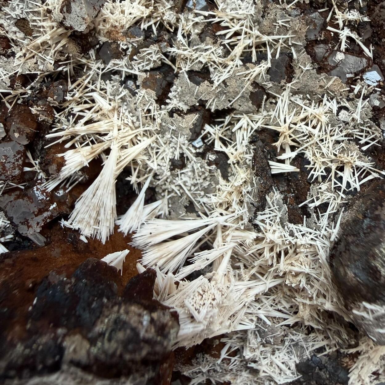 Kutnohorite & Calcite