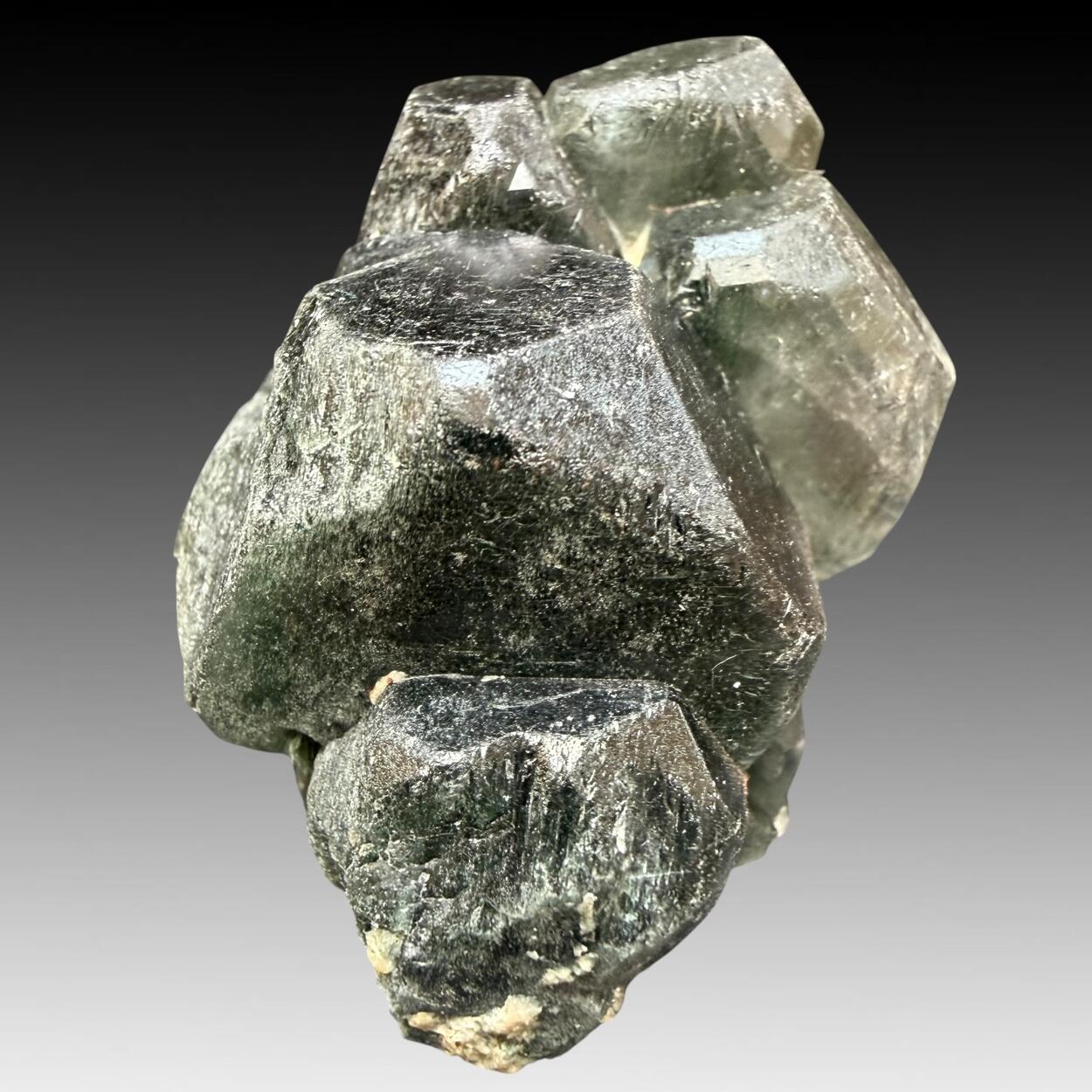 Apatite With Chlorite Inclusions