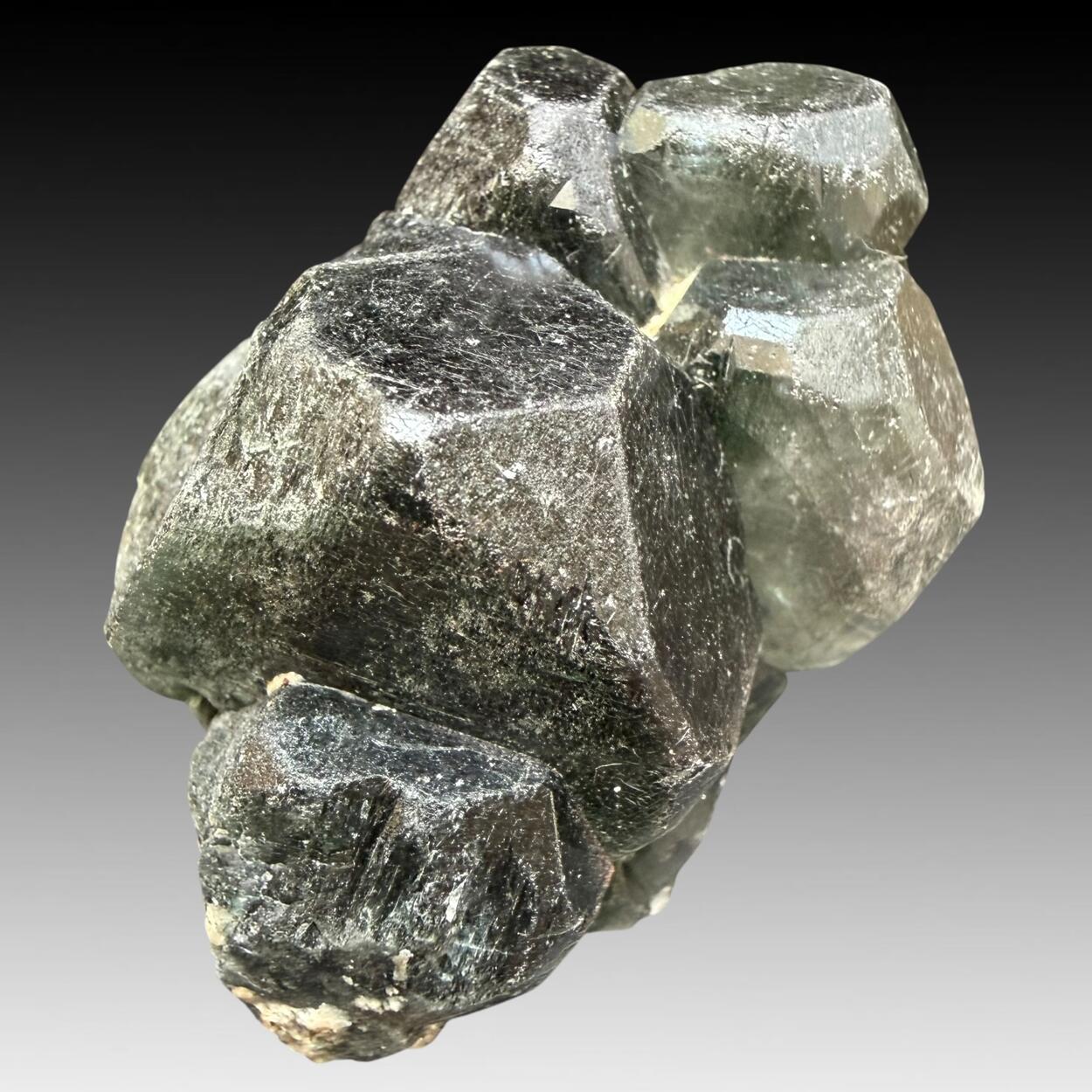 Apatite With Chlorite Inclusions