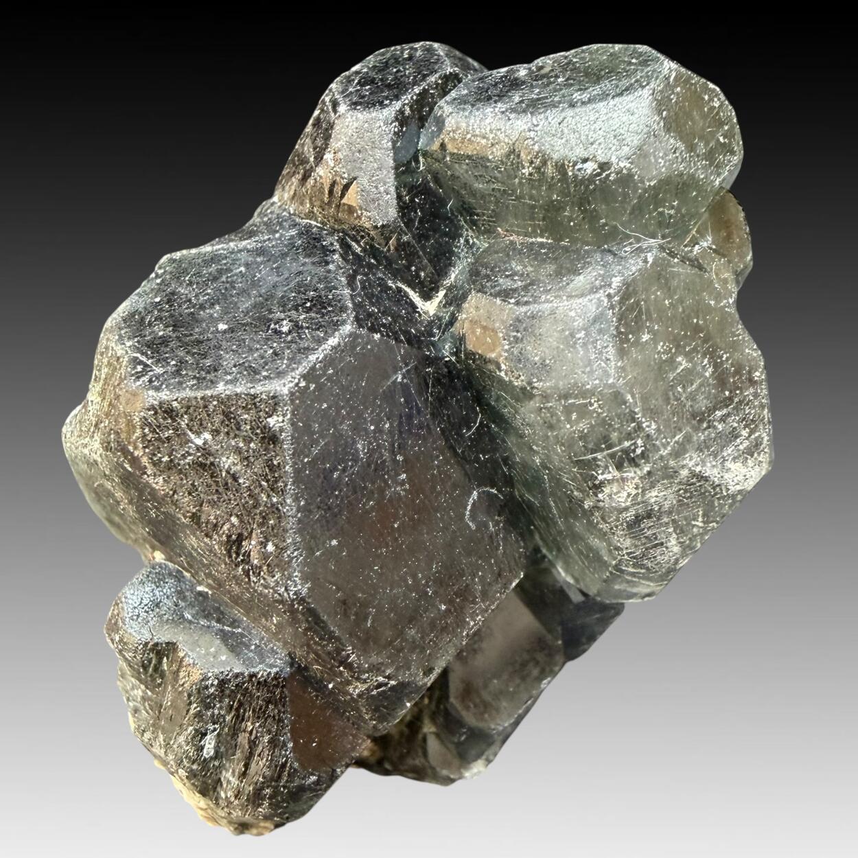 Apatite With Chlorite Inclusions