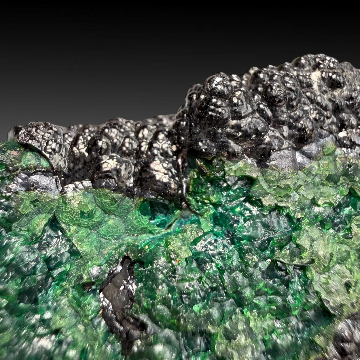 Heterogenite & Chrysocolla