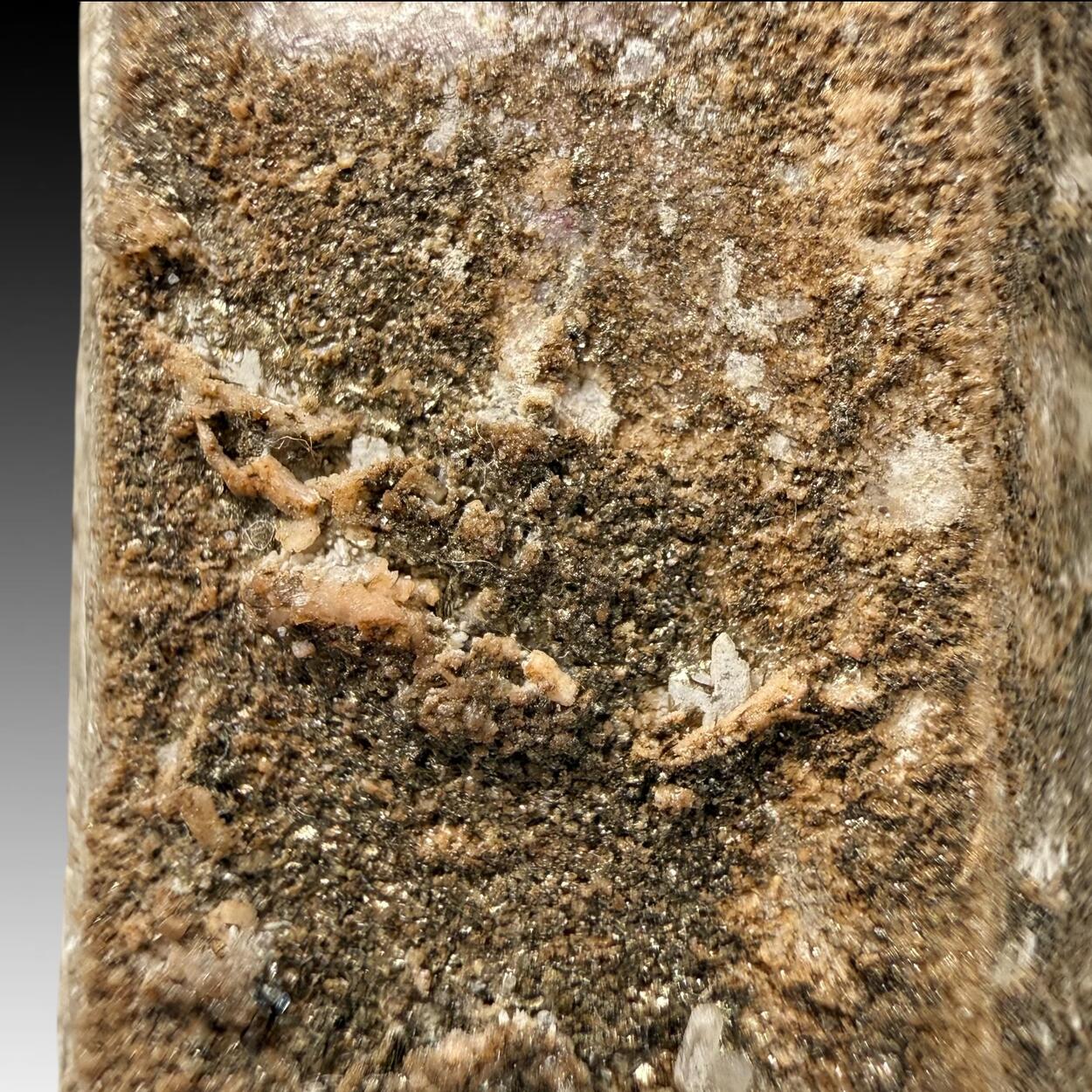 Quartz With Stilpnomelane & Chlorite