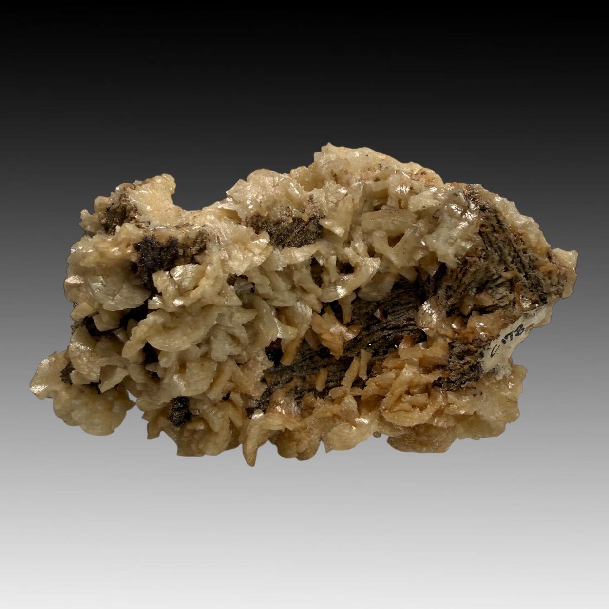 Dolomite