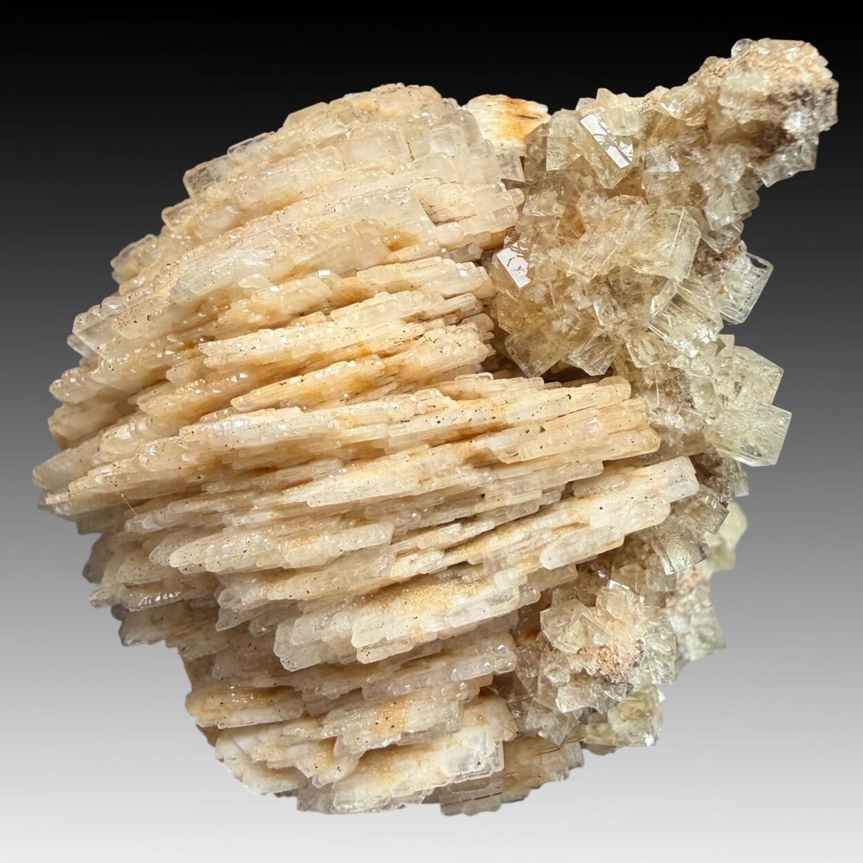 Baryte & Fluorite