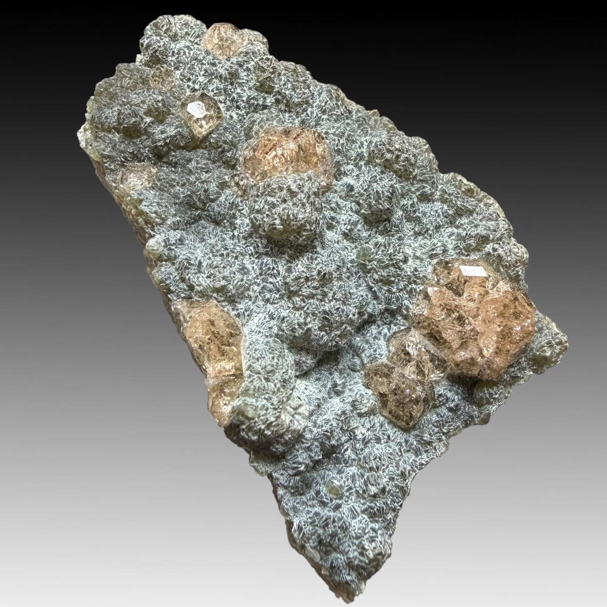Grossular & Chamosite