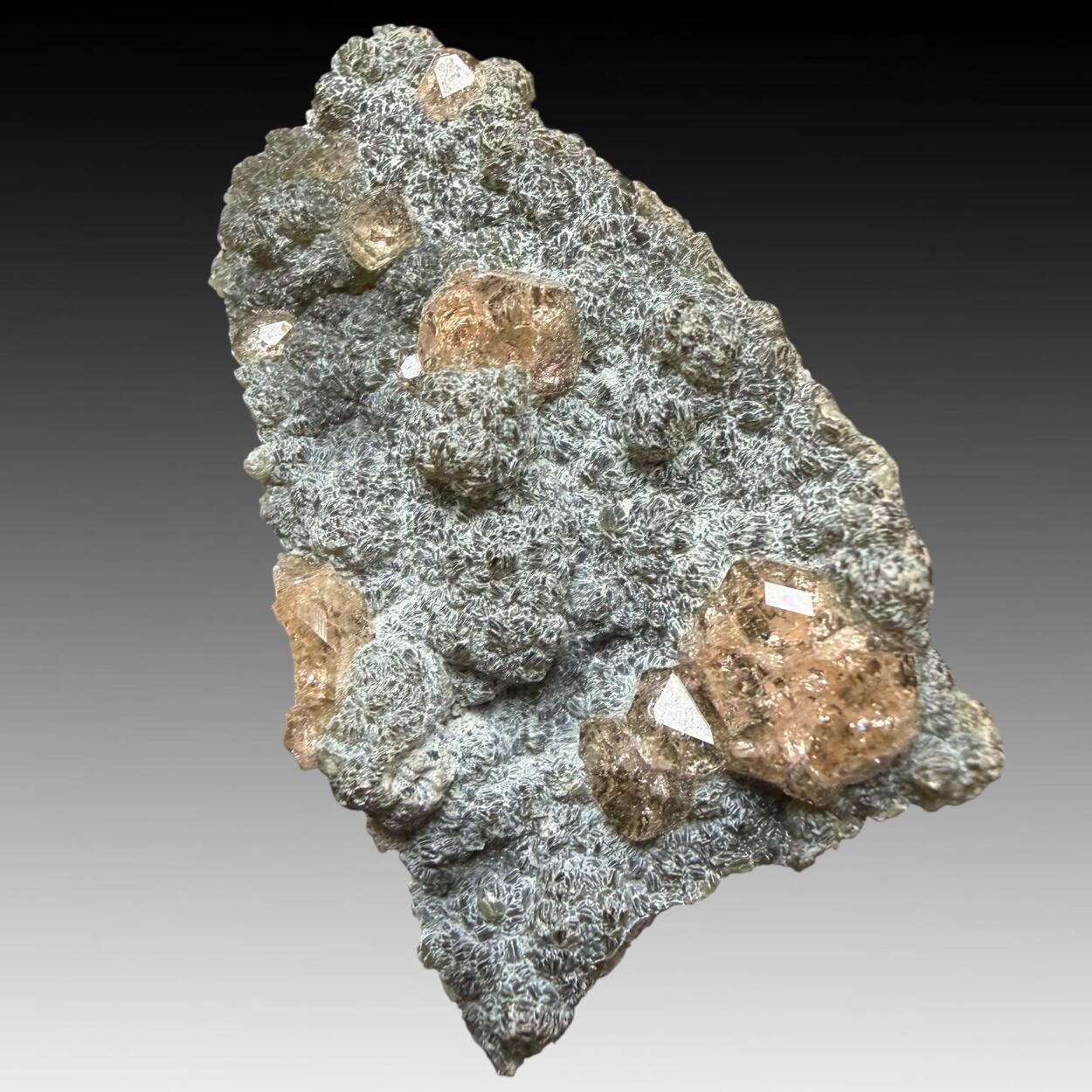 Grossular & Chamosite