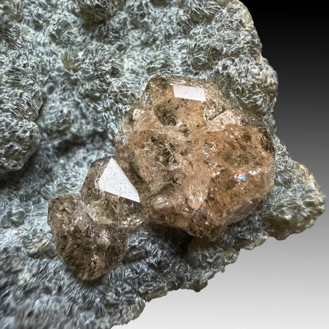 Grossular & Chamosite