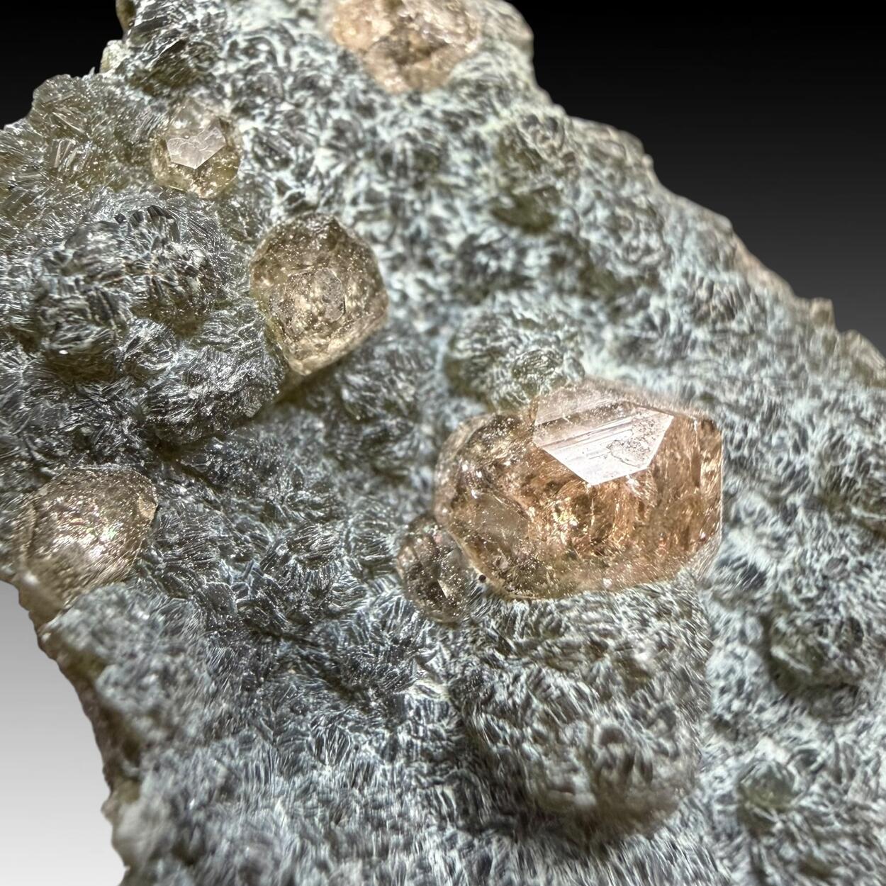 Grossular & Chamosite