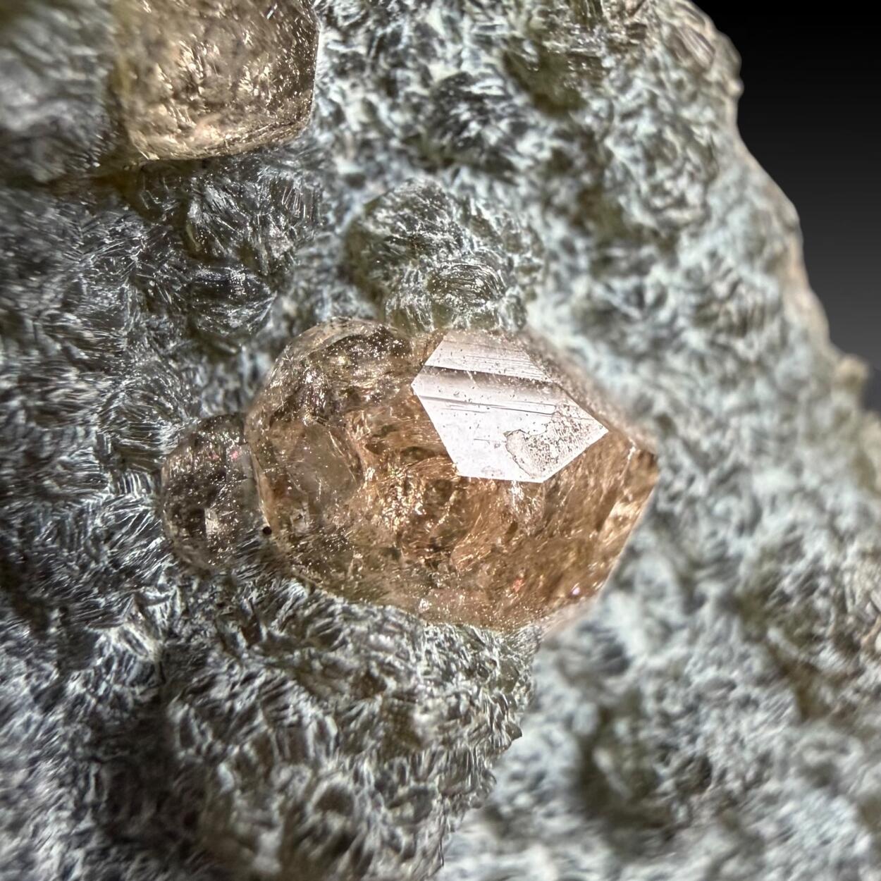 Grossular & Chamosite