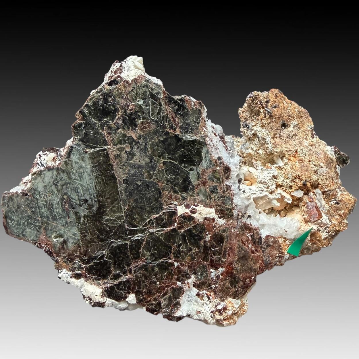 Tetraferriphlogopite With Clinohumite & Pyroaurite