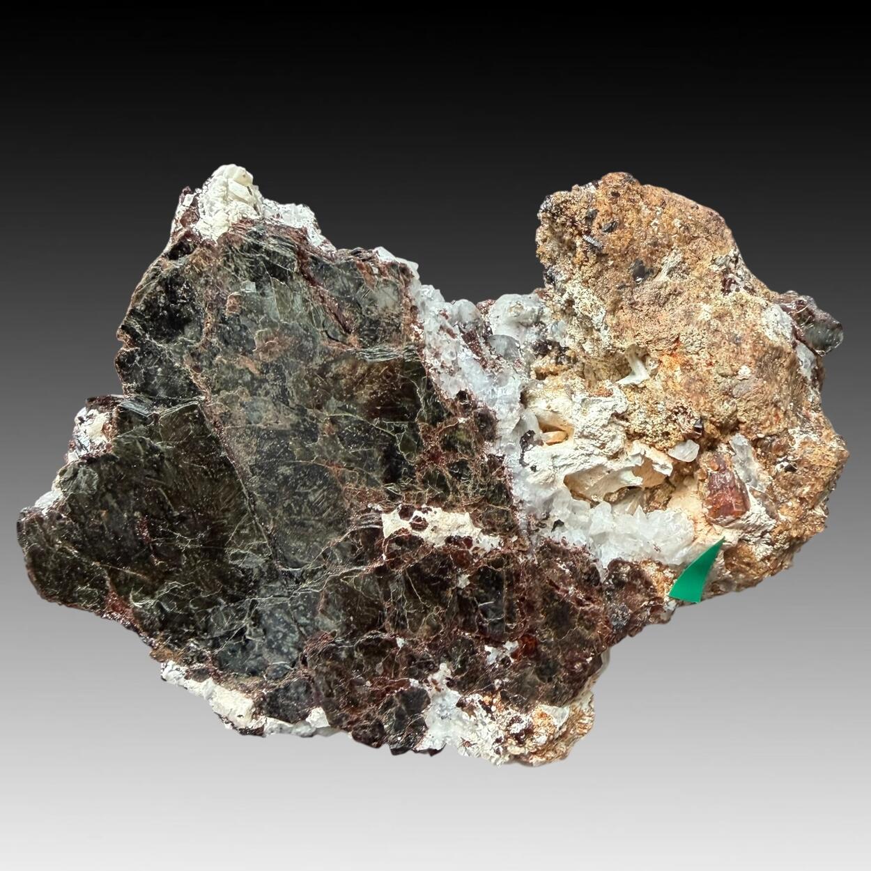 Tetraferriphlogopite With Clinohumite & Pyroaurite