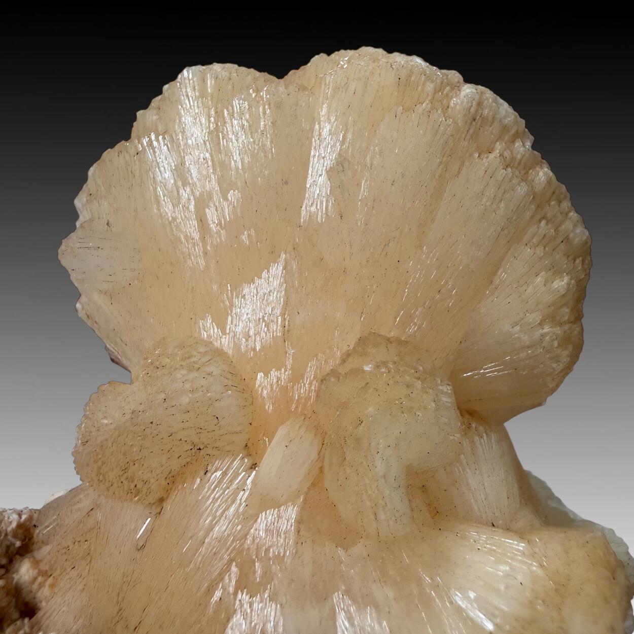 Stilbite