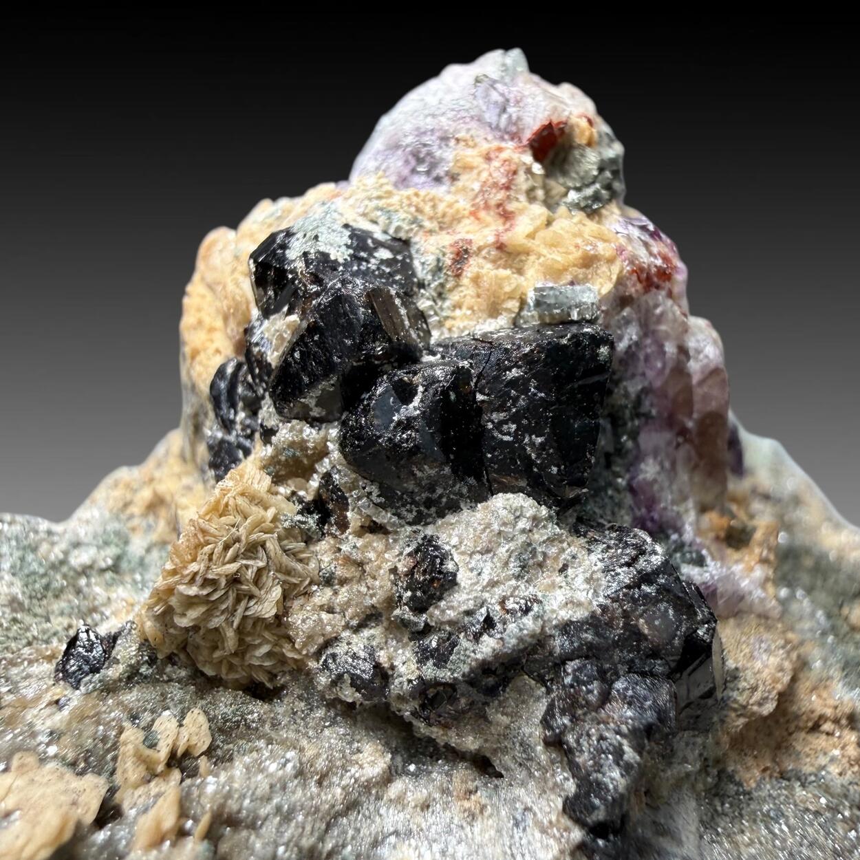 Cassiterite With Siderite & Fluorite