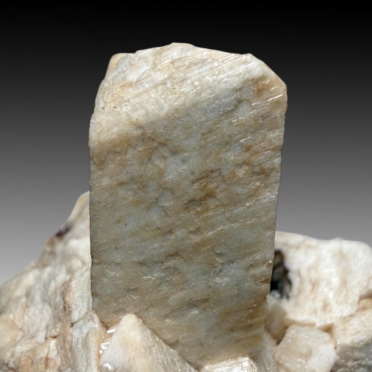 Microcline