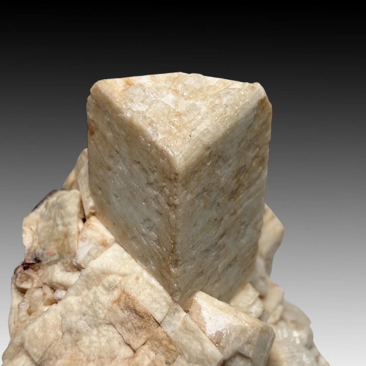 Microcline
