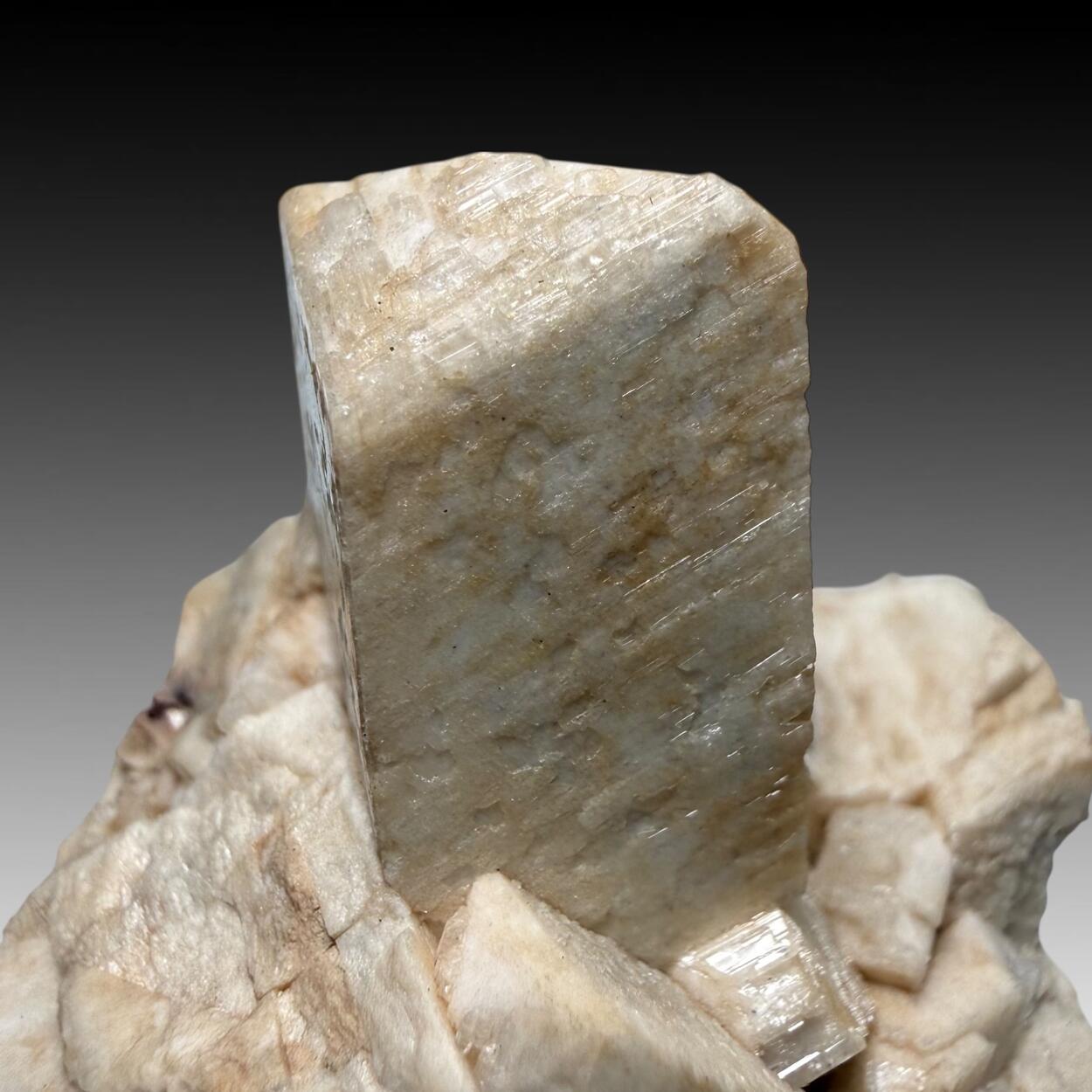 Microcline