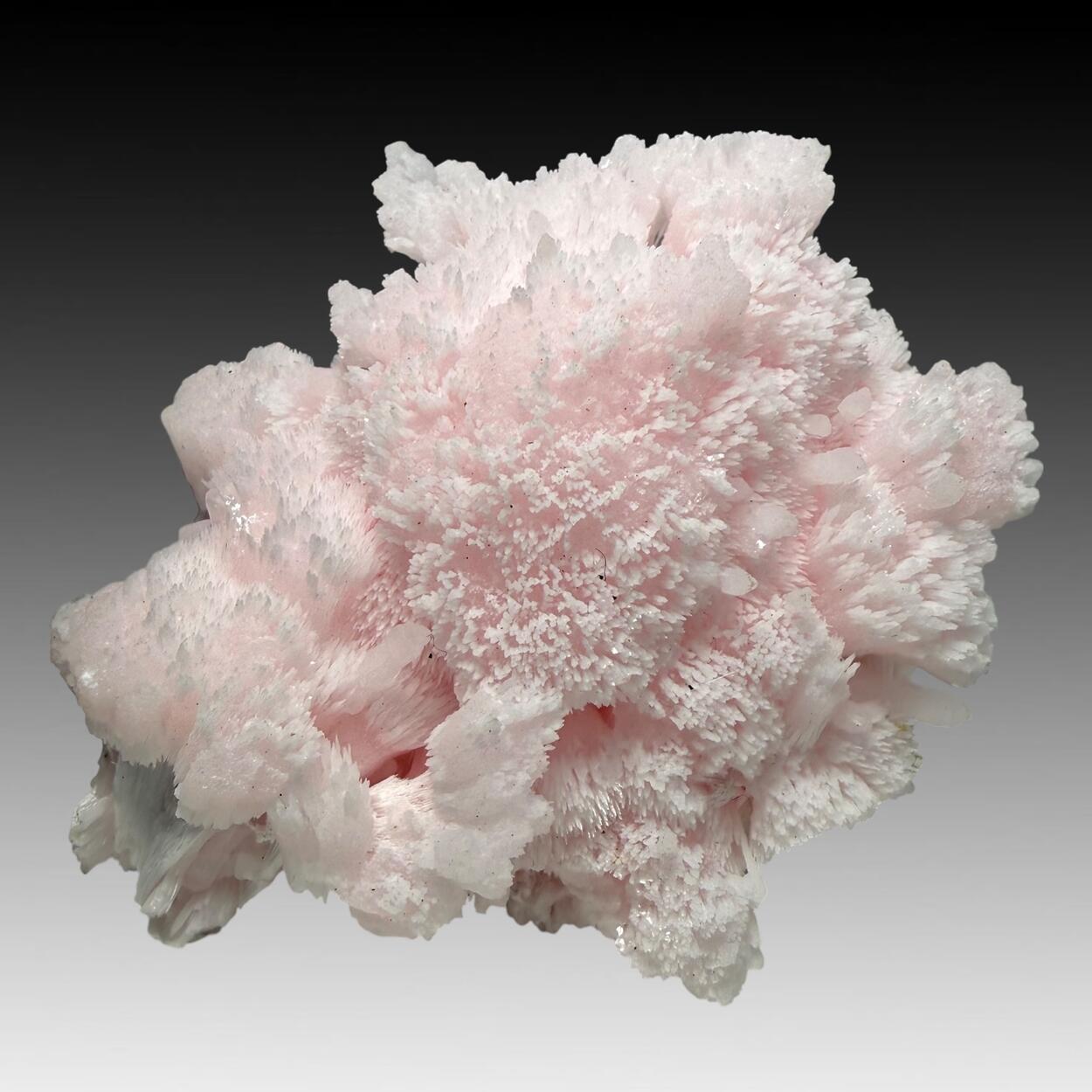 Manganoan Calcite With Kutnohorite